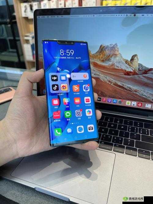 欧美无 mate30pro 巨：一款独特的手机
