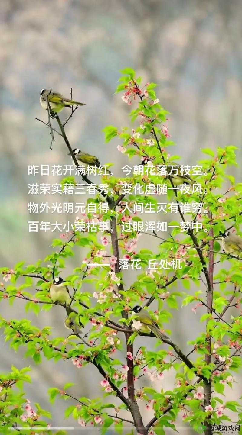 亭亭玉立国色天香四月天：绝美之景正当时