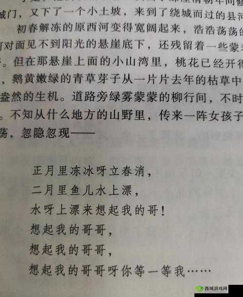 沦为教具的小诗：平凡中的深刻思考