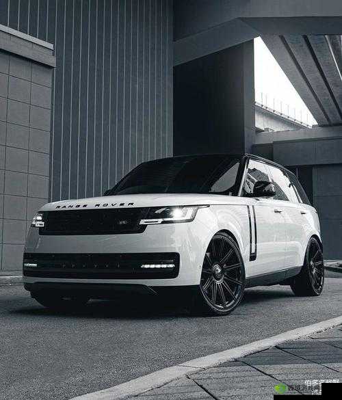 2024 年热门 SUV 推荐：多款车型任你选