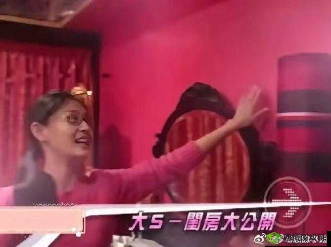 红番阁粉色视频引发热议，网友热议内容背后的故事与细节揭秘