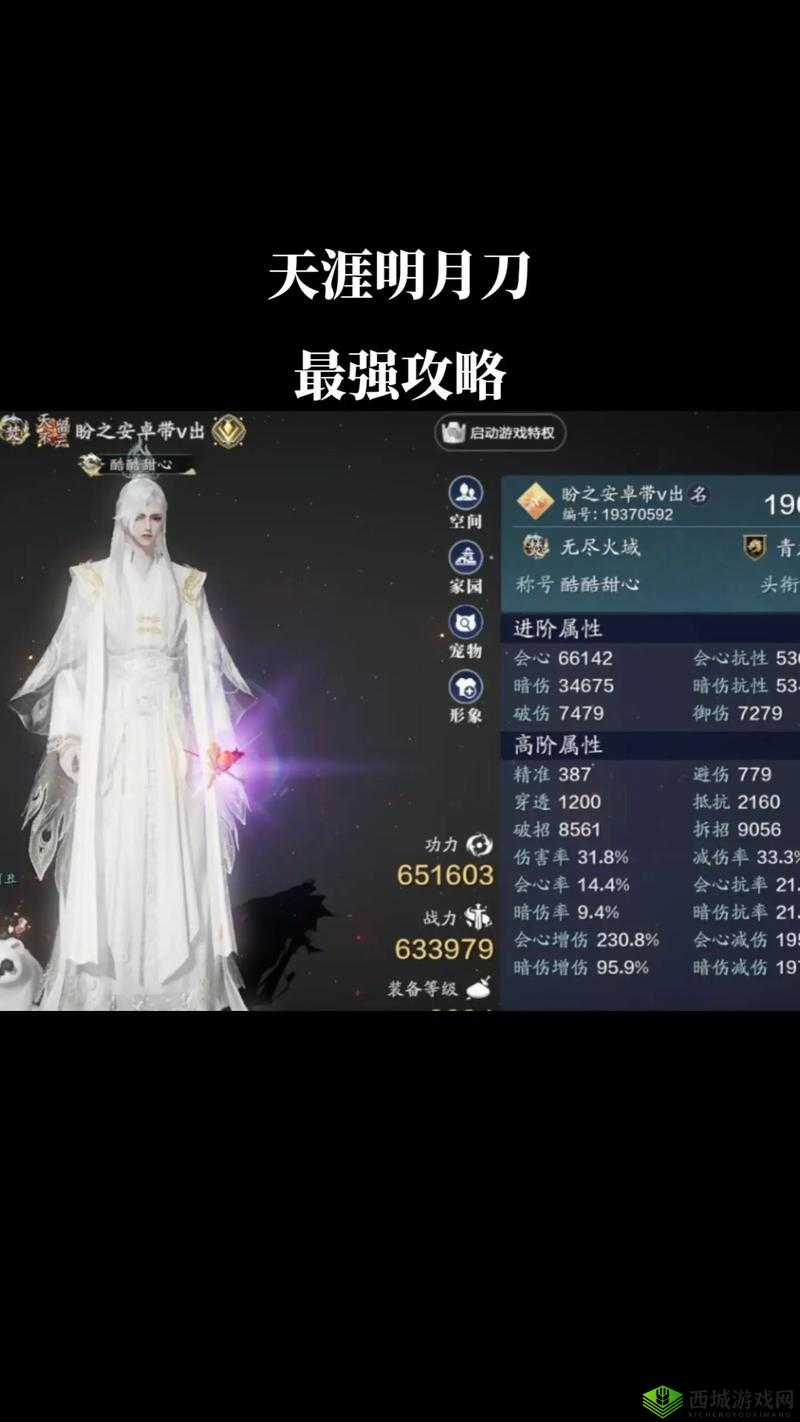 天涯明月刀手游深度解析，开封奇珍任务全攻略及完成技巧