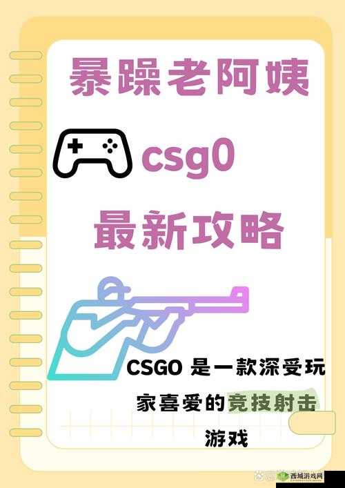 暴躁日本老阿姨 csgo 中门对狙，网友直呼：学到了